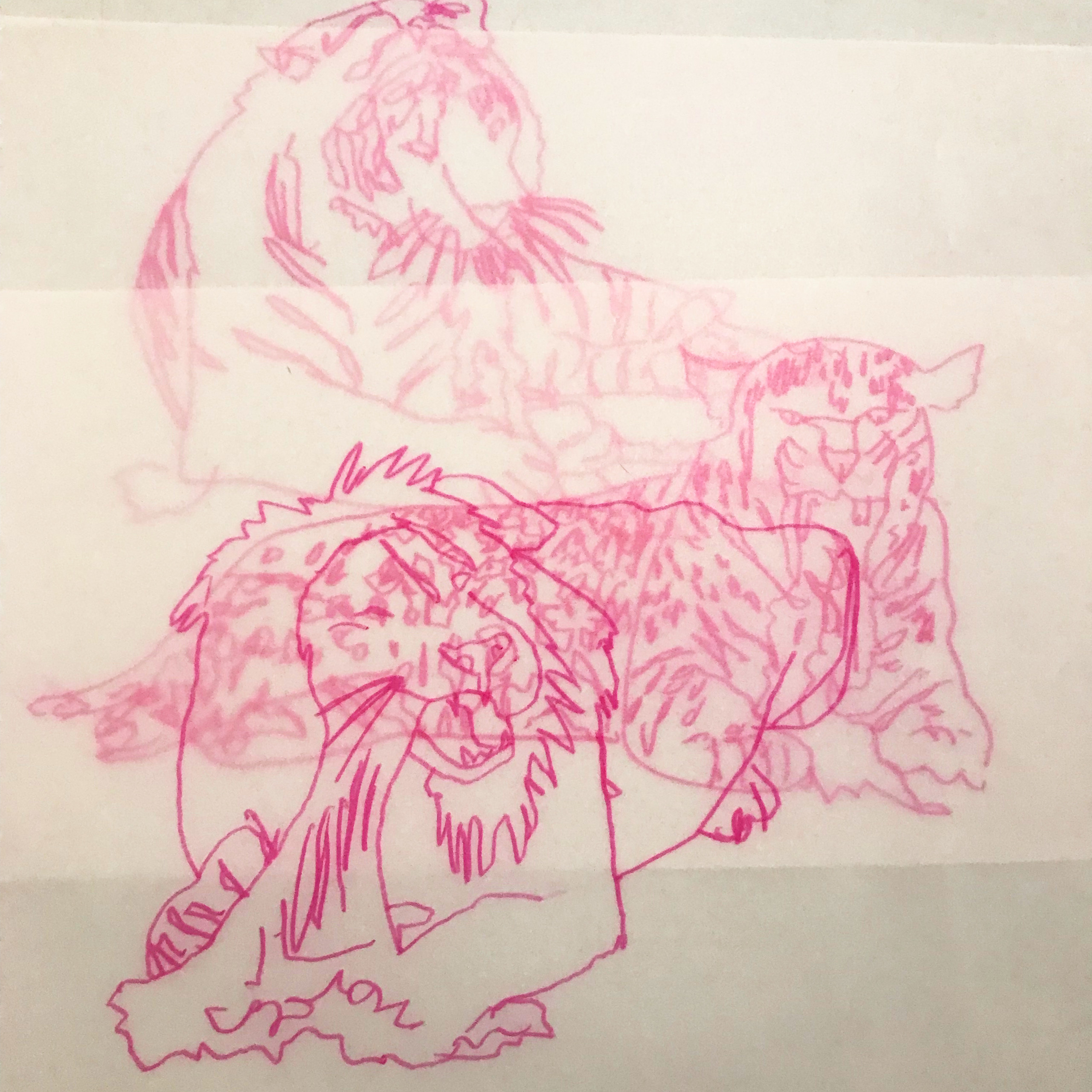 Christopher McCandless, Ananda Muylaert