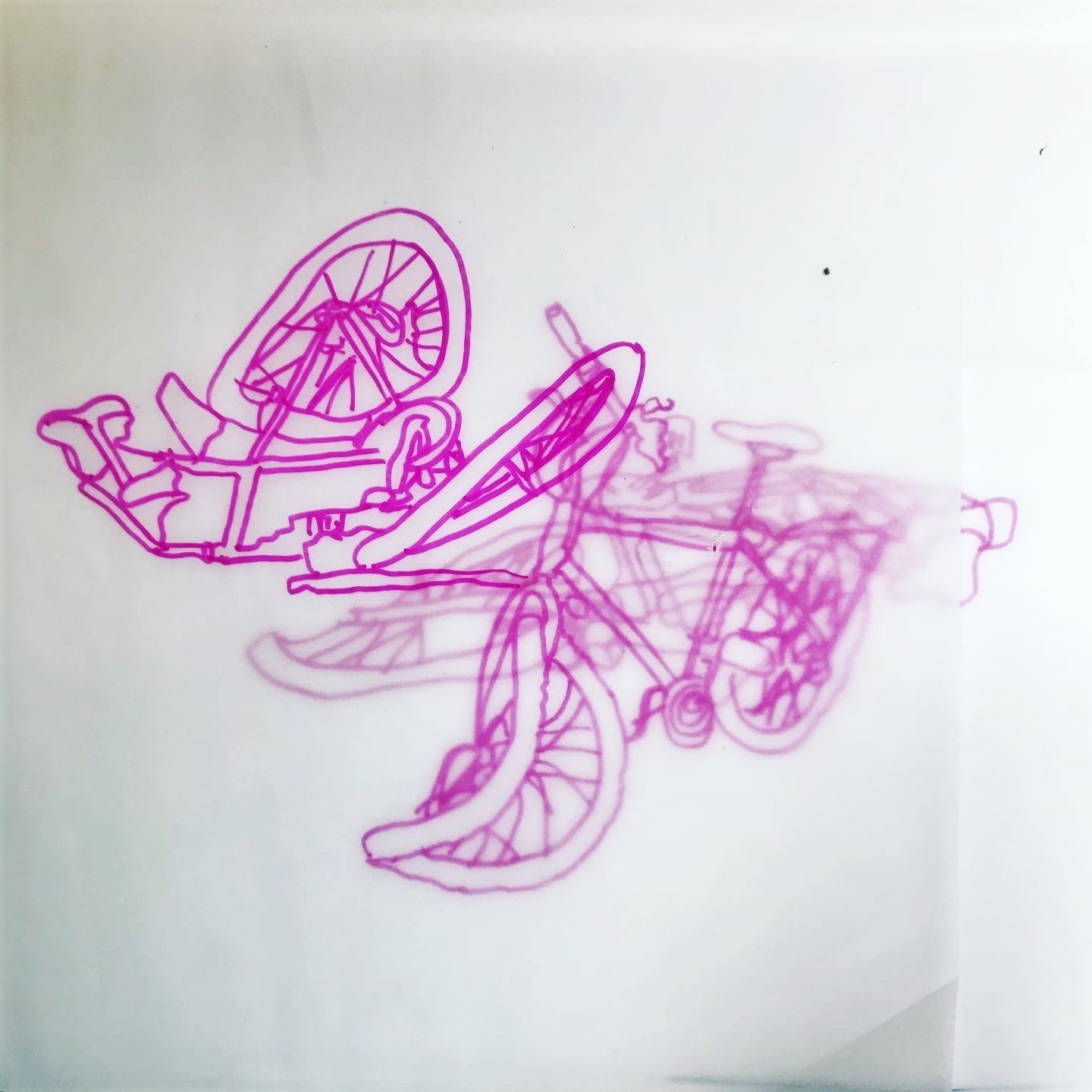 Tringbel of Pingbel, Ananda Muylaert