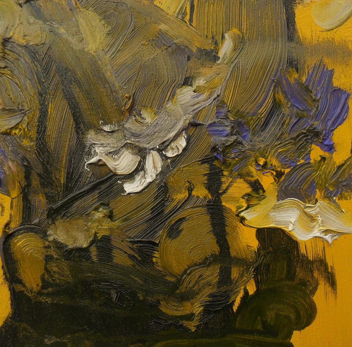 Adriana, Ananda Muylaert