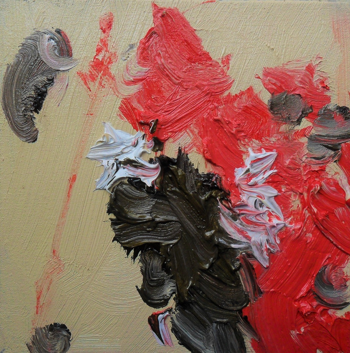 Honshu, Ananda Muylaert