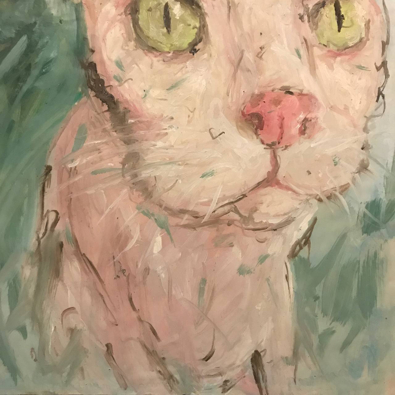 Gato, Ananda Muylaert