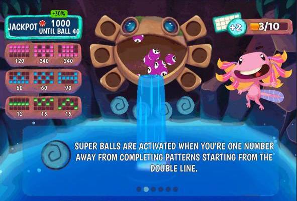 Praia Bingo Acapulco How to Play instructions