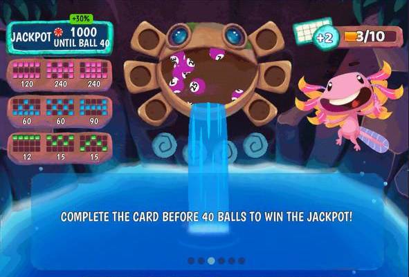 Praia Bingo Acapulco How to Play instructions