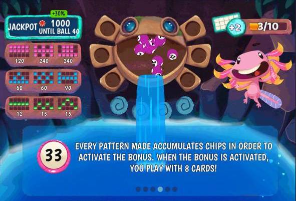 Praia Bingo Acapulco How to Play instructions