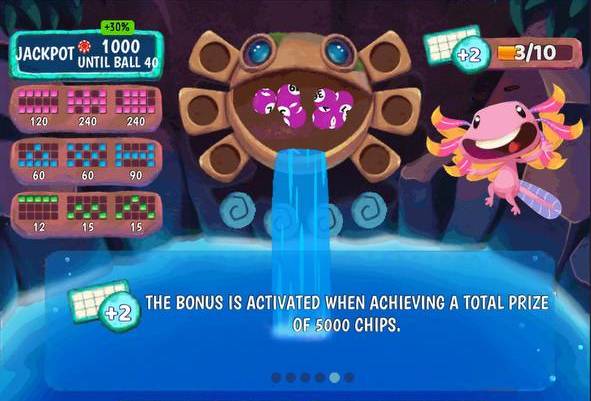 Praia Bingo Acapulco How to Play instructions