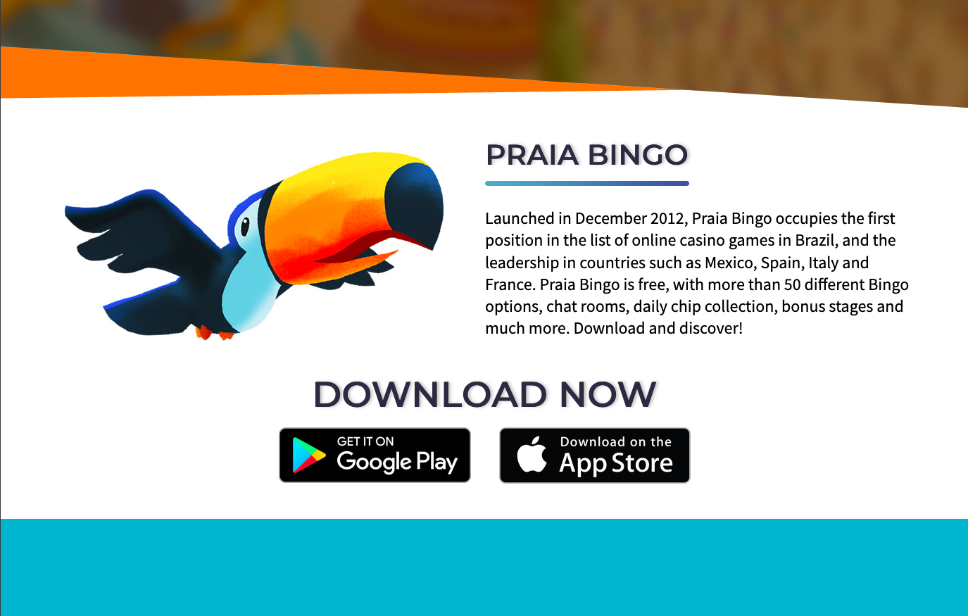 Praia Bingo game description