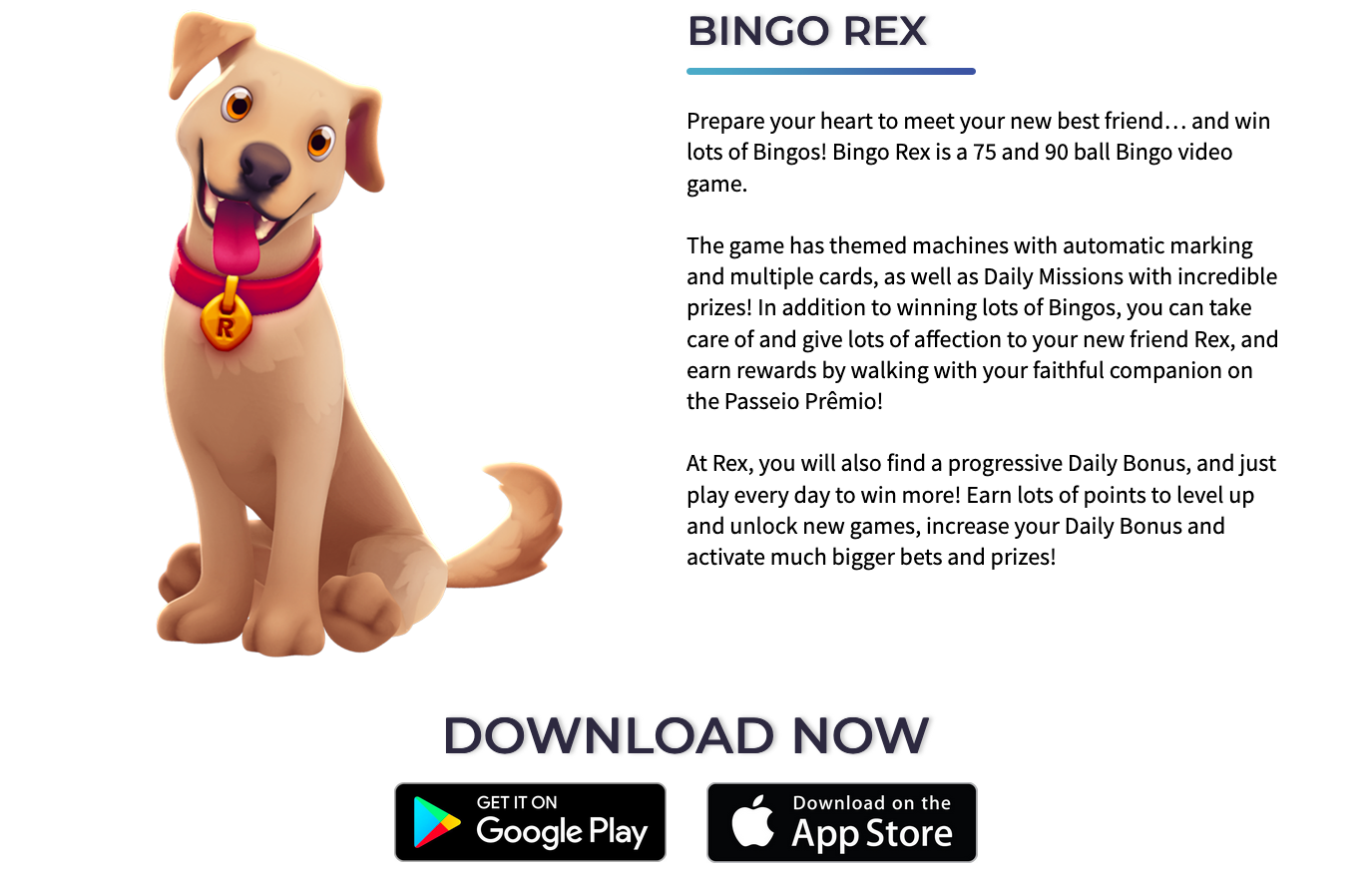 Bingo Rex description