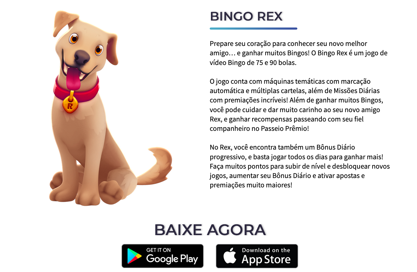 Bingo Rex description